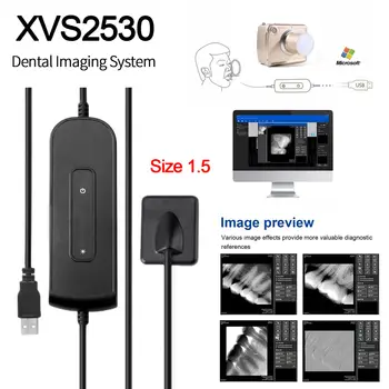 Diş Dijital RVG X-Işını Sensörü X-Işını Görüntüleme Sensörü Boyutu 1.5 Sistem Birimi XVS2530 Fit Ağaçkakan